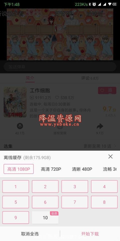 哔哩哔哩动画 v5.33.3 vip解锁版 Android 第1张