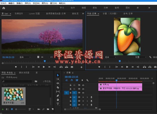 Adobe Premiere 中文解锁版 Windows 第1张