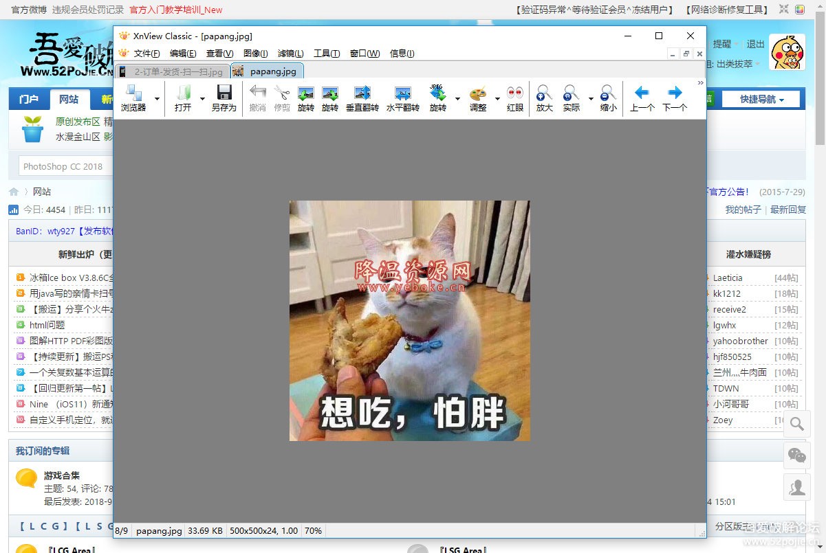 图片浏览器 XnView Extended v2.46 便携增强版 Windows 第1张