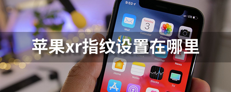 苹果xr指纹设置在哪里？苹果xr指纹设置图文教程